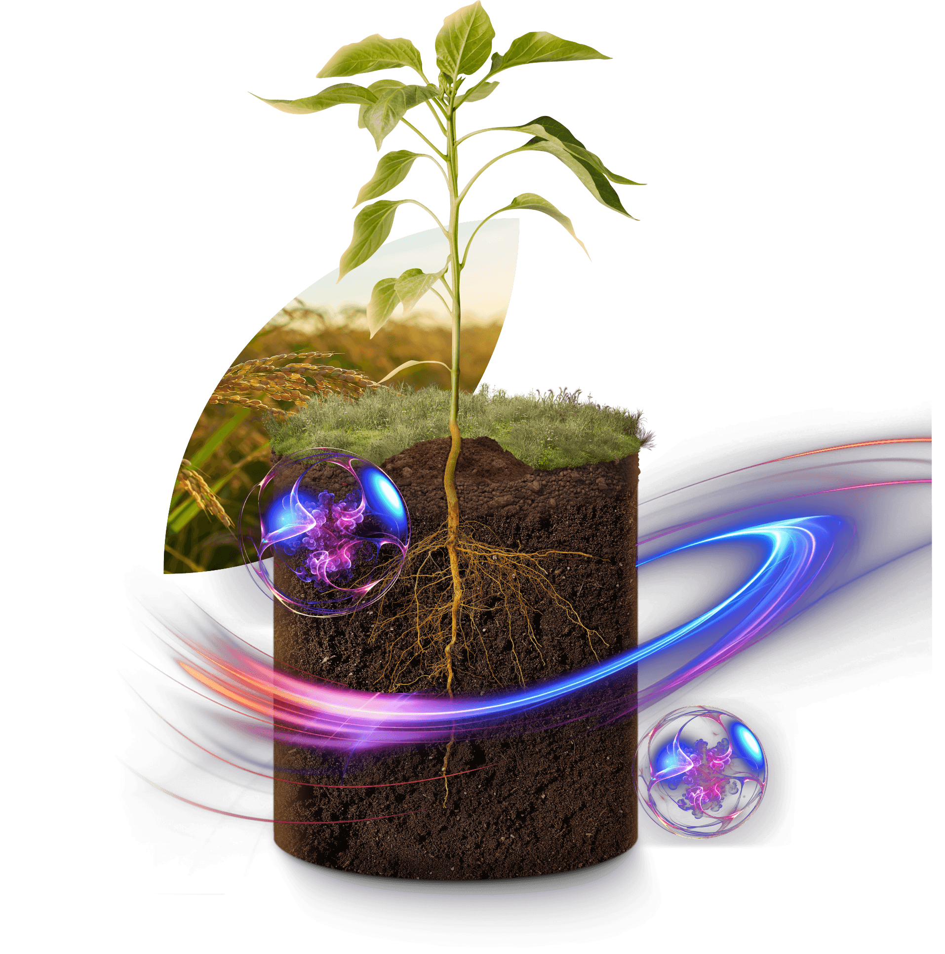 Planta emergiendo del suelo con energía visual alrededor